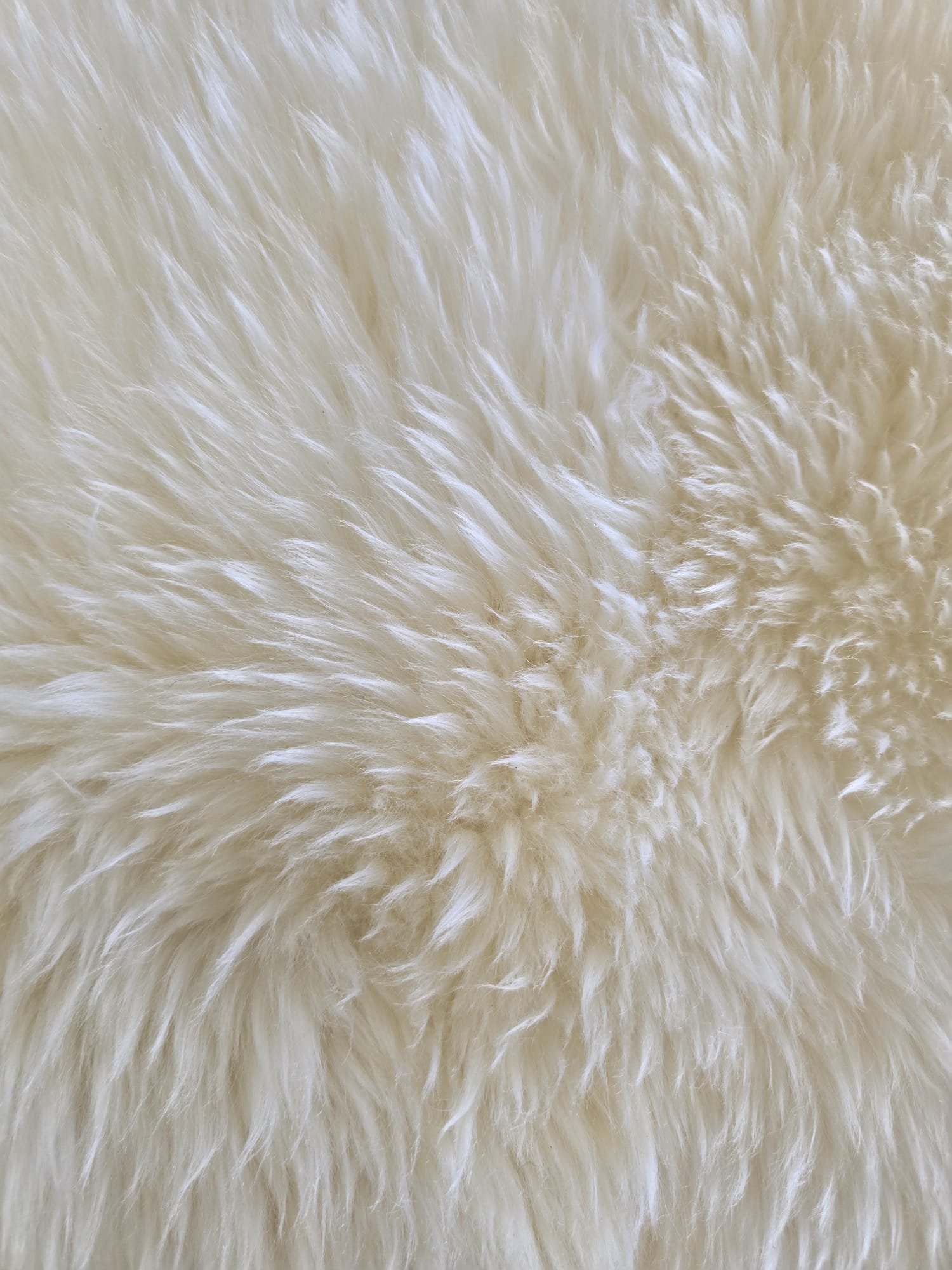Dupla janjeća koža Bijela 65x180 cm od prave australske merino vune