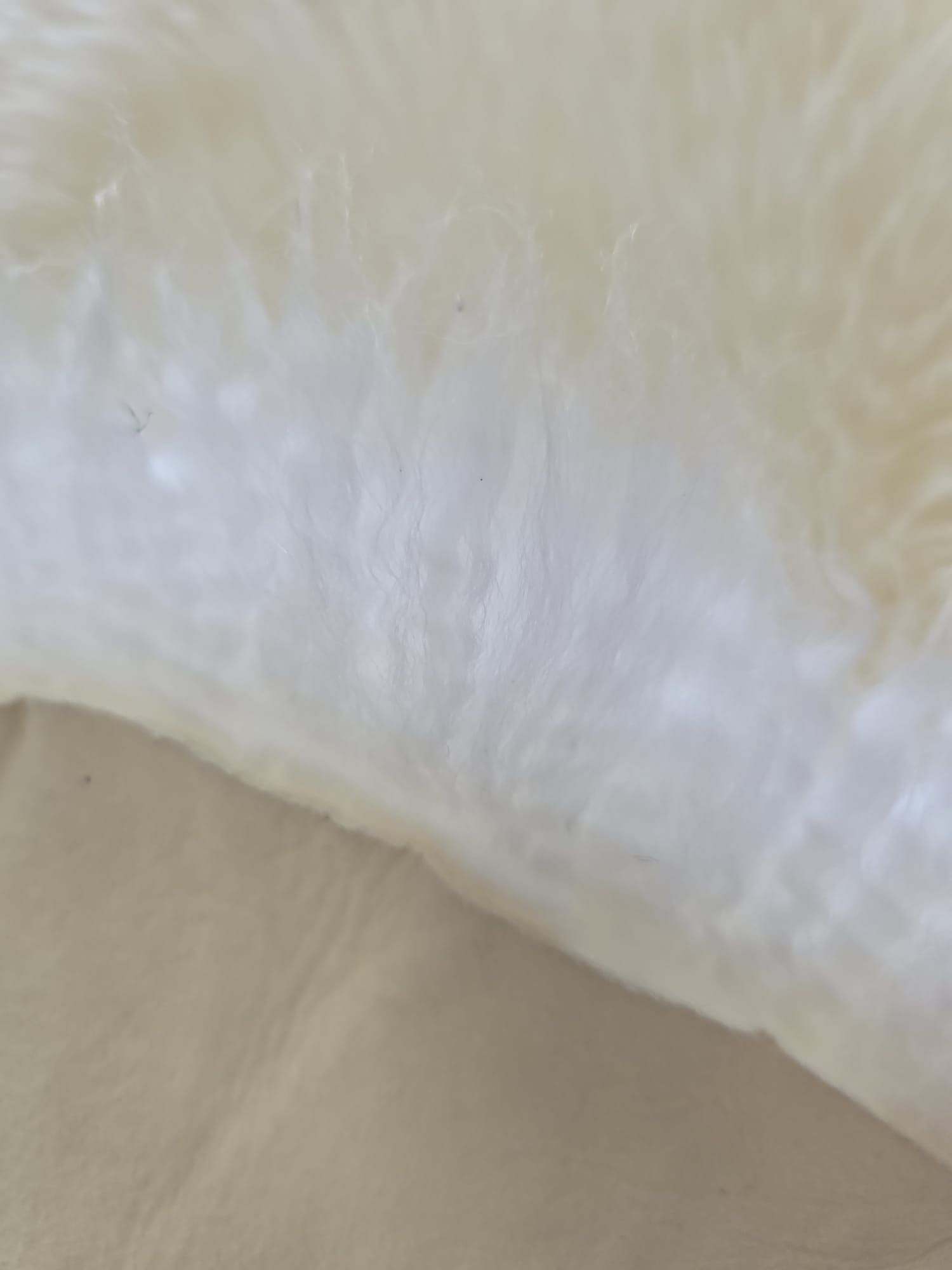 Dupla janjeća koža Bijela 65x180 cm od prave australske merino vune